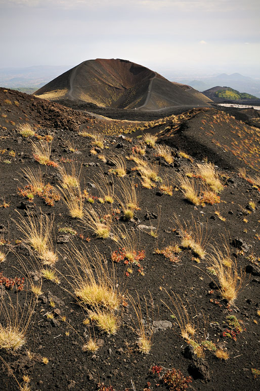 Touffes d'herbe et ancien cratère sur le Mont Etna en Sicile