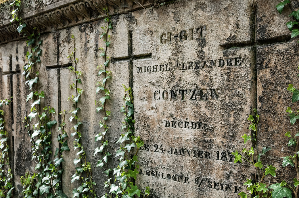 Lierre grimpant sur une sépulture au Père Lachaise, Paris 20e