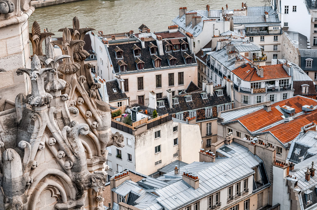 Toits de Paris depuis Notre-Dame, France